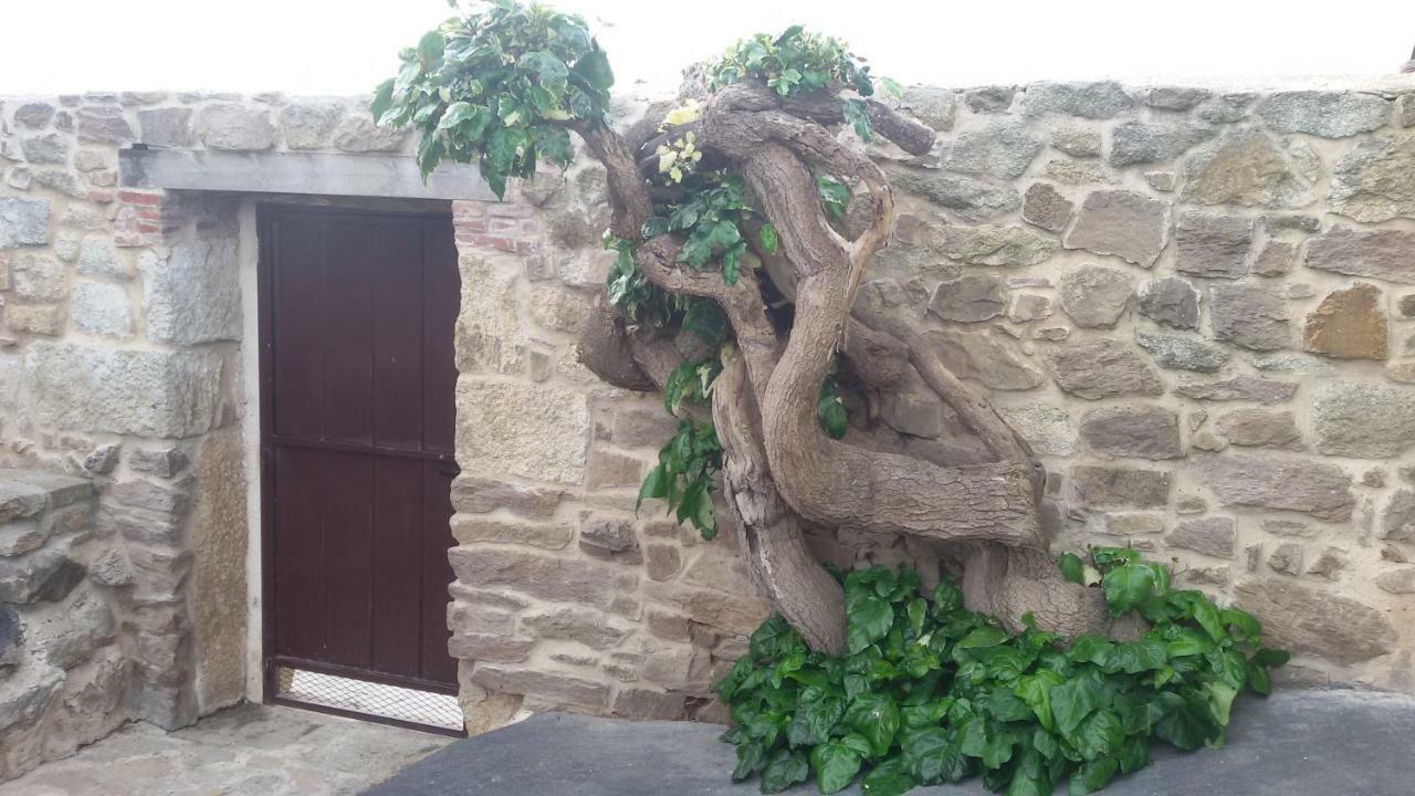 El Pilar De Don Gregorio Guest House Pereruela Bagian luar foto